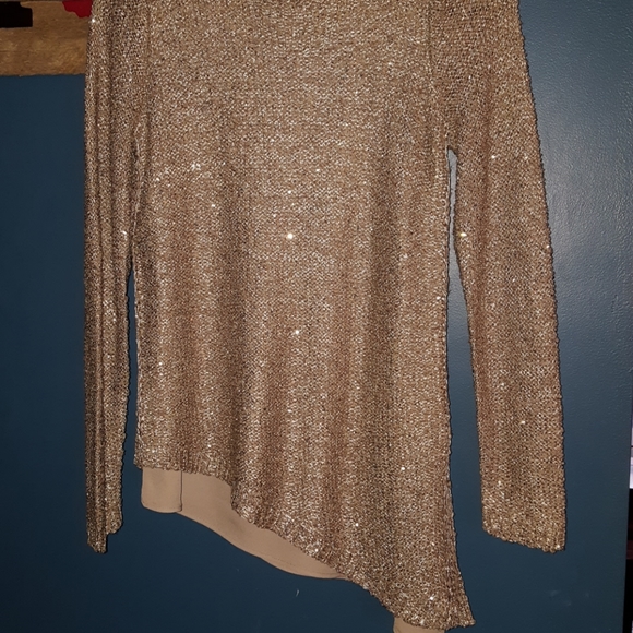 Shimmery Sweater - Picture 3 of 4